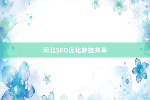河北SEO优化妙技共享