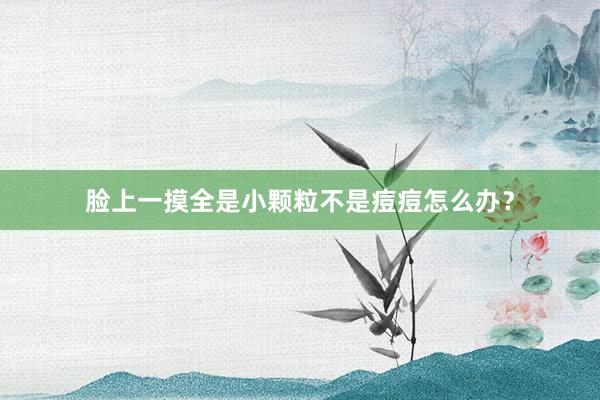 脸上一摸全是小颗粒不是痘痘怎么办？