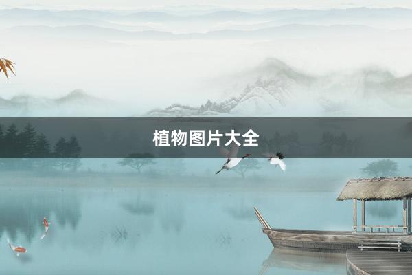 植物图片大全